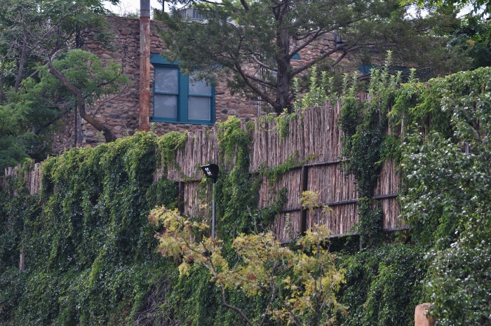coyote fence
